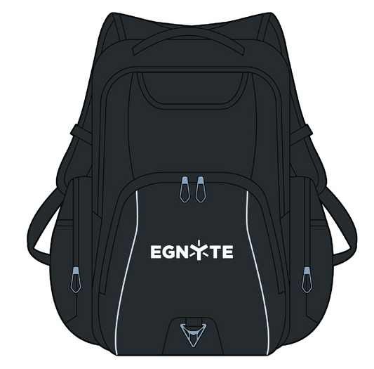 Rainier TSA 17" Computer Backpack